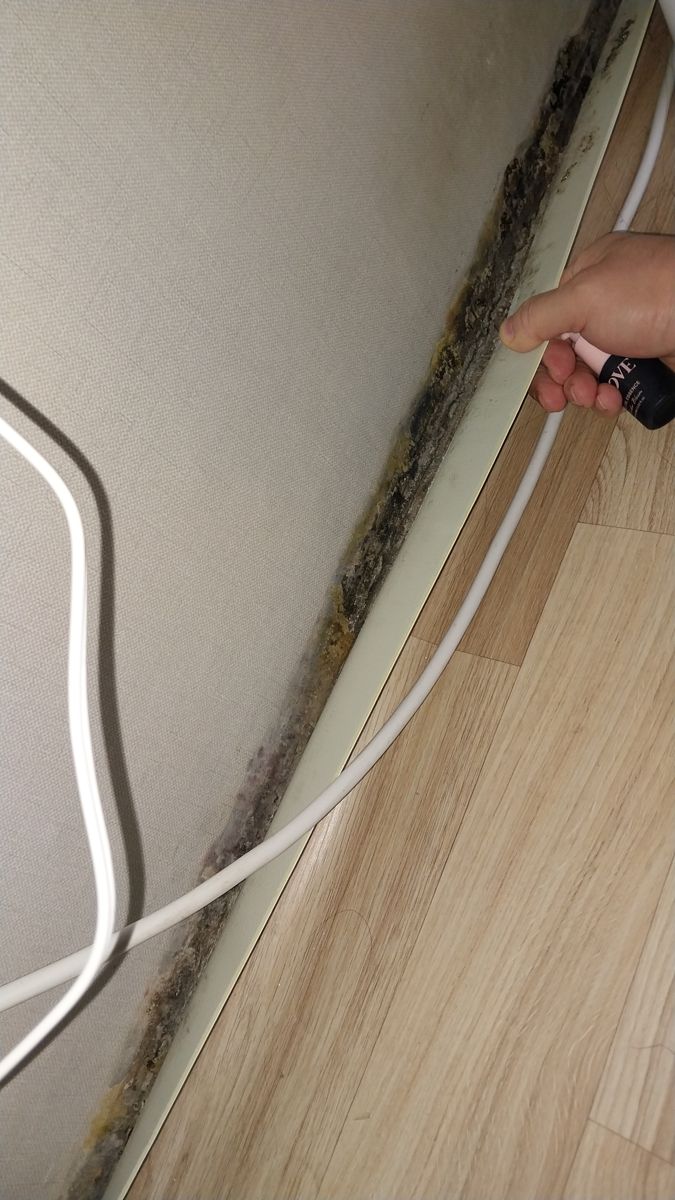 중동 벽과 바닥 경계